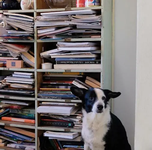 Panzió Paradiso N.4 3*